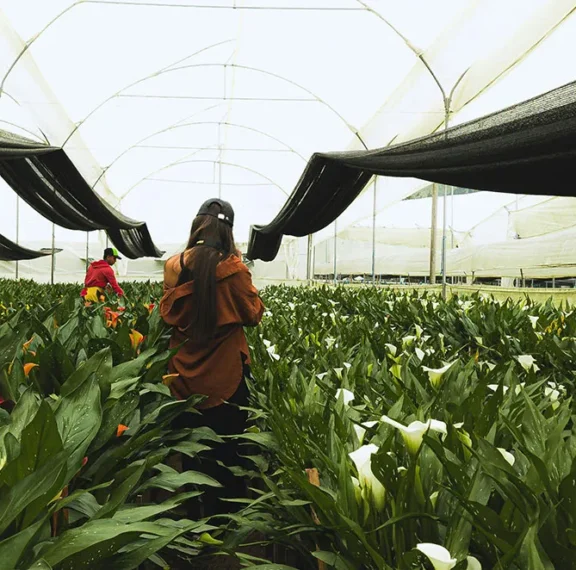 There are many variations of passages of Lorem Ipsum available, but majority have suffered teration in some form, by injected humour, or randomised words which don't look even slight believable. If you are going to use a passage of Lorem Ipsum.